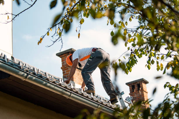 Gutter Installation and Roofing in Oldsmar, FL